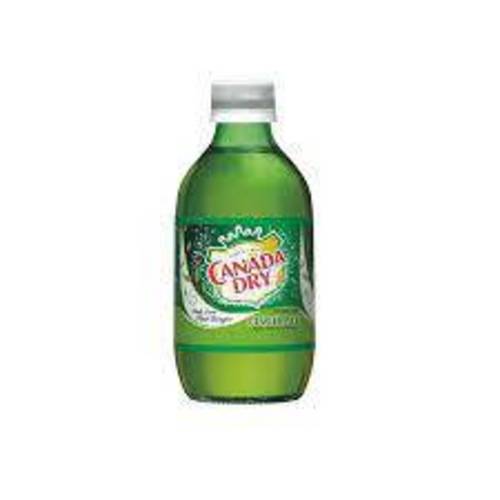 Canada Dry Ginger Ale 10 OZ